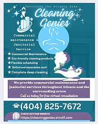 Cleaning Genies©️